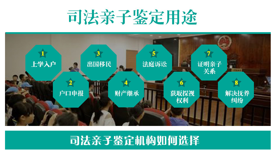 在江门如何办理DNA亲子鉴定报告.png